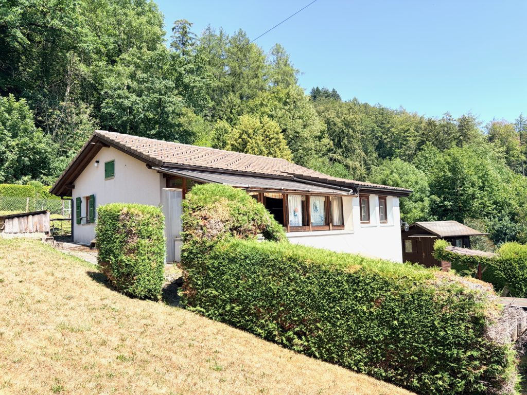 Vauderens - jolie maison dans un écrin de verdure vau 2